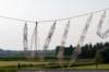 dsc_3512_small.jpg