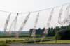 dsc_3513_small.jpg
