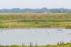 dsc_3515_small.jpg