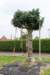 dsc_3516_small.jpg