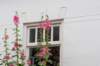 dsc_3517_small.jpg