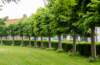 dsc_3520_small.jpg