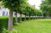 dsc_3523_small.jpg