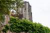 dsc_3524_small.jpg
