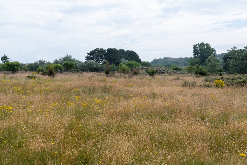 dsc_3539.jpg