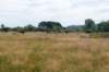 dsc_3539_small.jpg