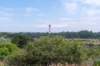 dsc_3540_small.jpg