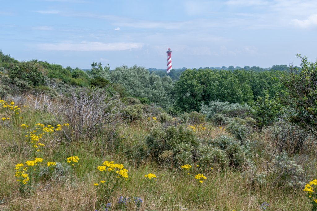 dsc_3542.jpg