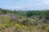 dsc_3542_small.jpg