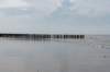 dsc_3546_small.jpg