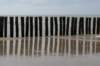 dsc_3547_small.jpg