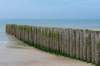dsc_3548_small.jpg