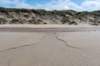 dsc_3550_small.jpg