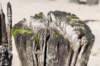 dsc_3551_small.jpg