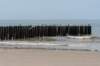 dsc_3553_small.jpg