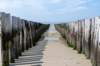 dsc_3554_small.jpg
