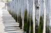 dsc_3556_small.jpg