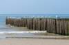 dsc_3557_small.jpg