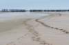 dsc_3559_small.jpg