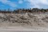 dsc_3561_small.jpg