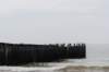 dsc_3562_small.jpg