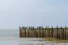 dsc_3564_small.jpg