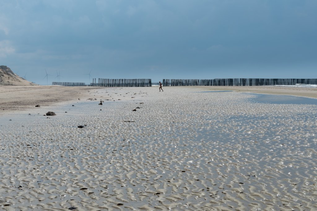 dsc_3566.jpg