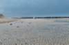dsc_3566_small.jpg
