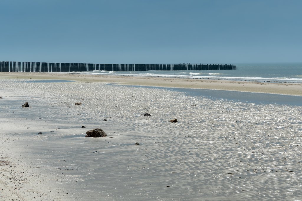 dsc_3568.jpg