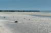 dsc_3568_small.jpg