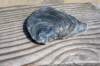 dsc_3569_small.jpg