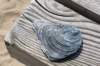 dsc_3570_small.jpg