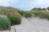 dsc_3571_small.jpg