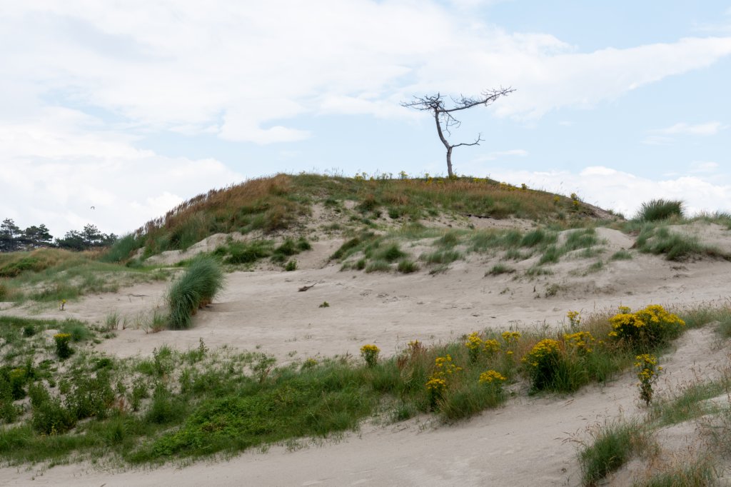 dsc_3573.jpg