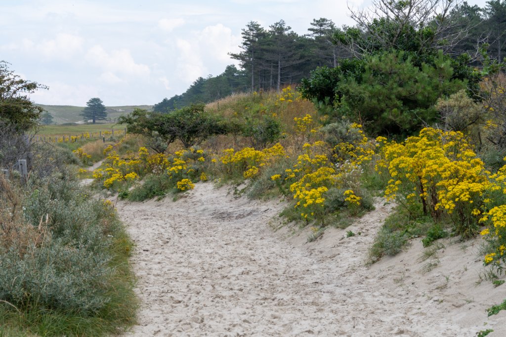 dsc_3575.jpg