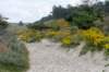 dsc_3575_small.jpg