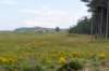 dsc_3576_small.jpg