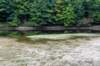 dsc_3577_small.jpg