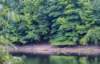dsc_3579_small.jpg