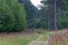 dsc_3580_small.jpg