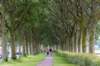 dsc_3583_small.jpg