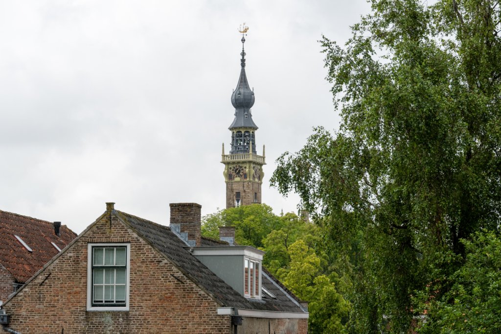 dsc_3584.jpg