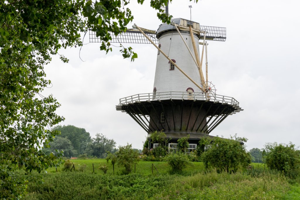 dsc_3589.jpg