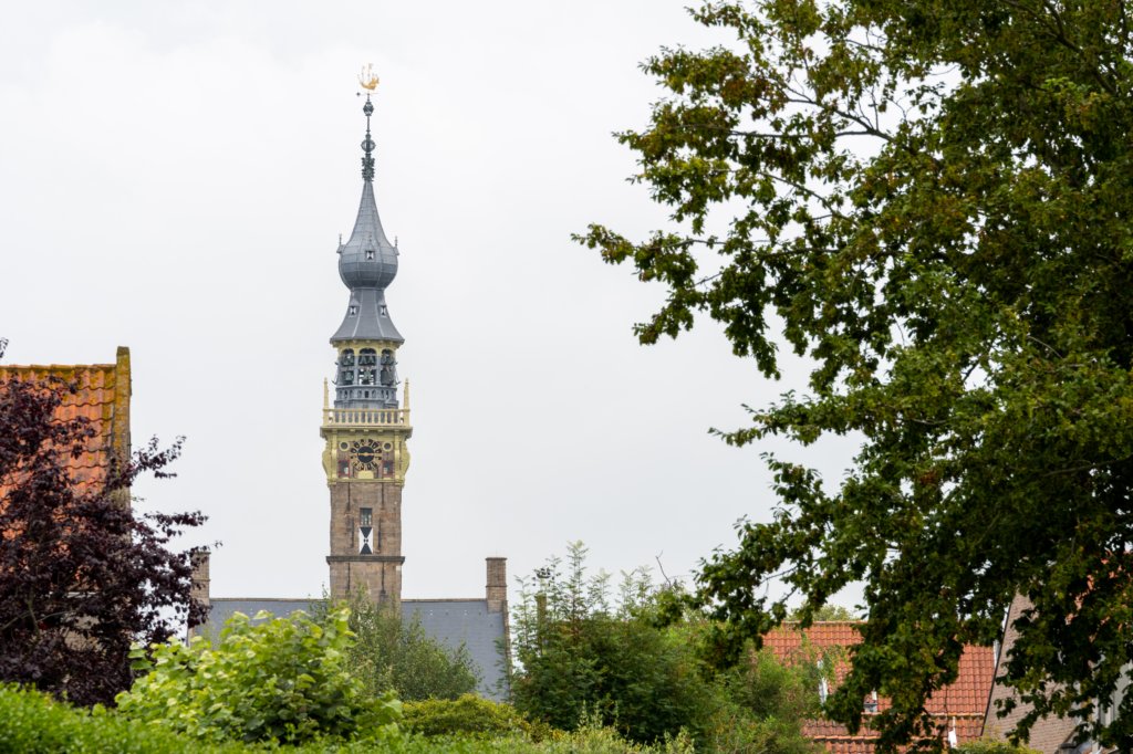 dsc_3592.jpg