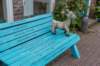 dsc_3594_small.jpg