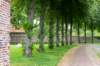 dsc_3595_small.jpg