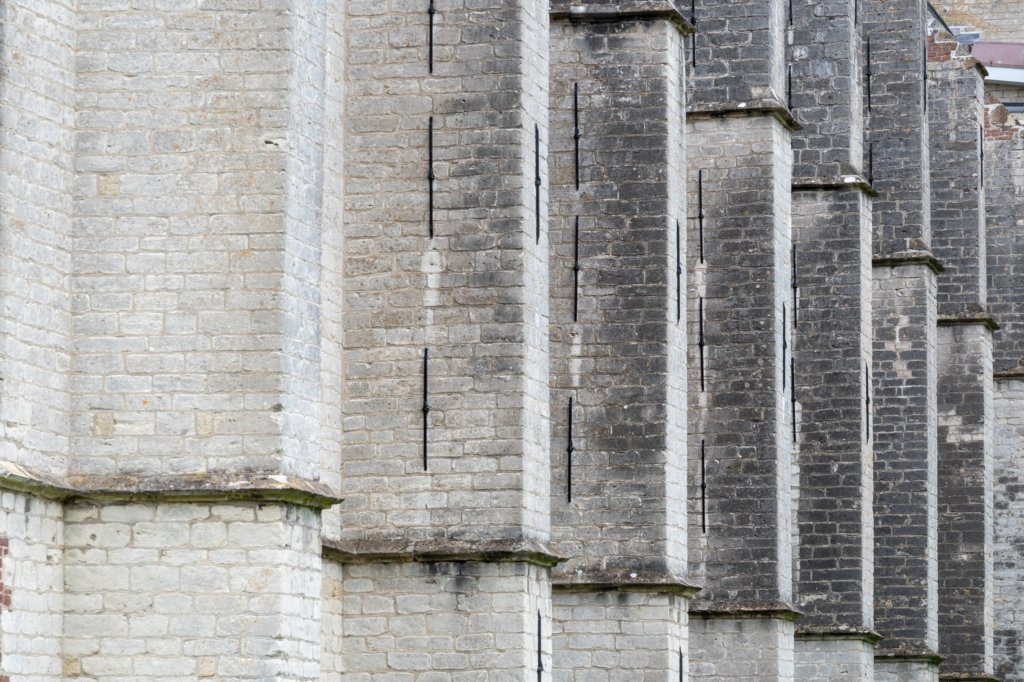 dsc_3596.jpg