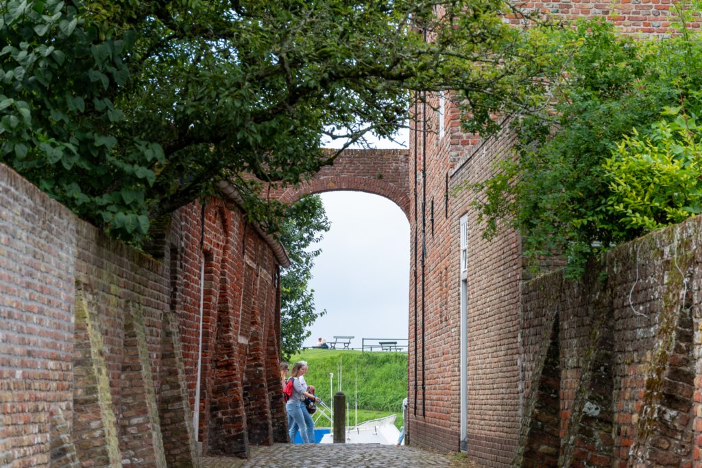 dsc_3600.jpg