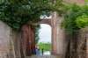 dsc_3600_small.jpg