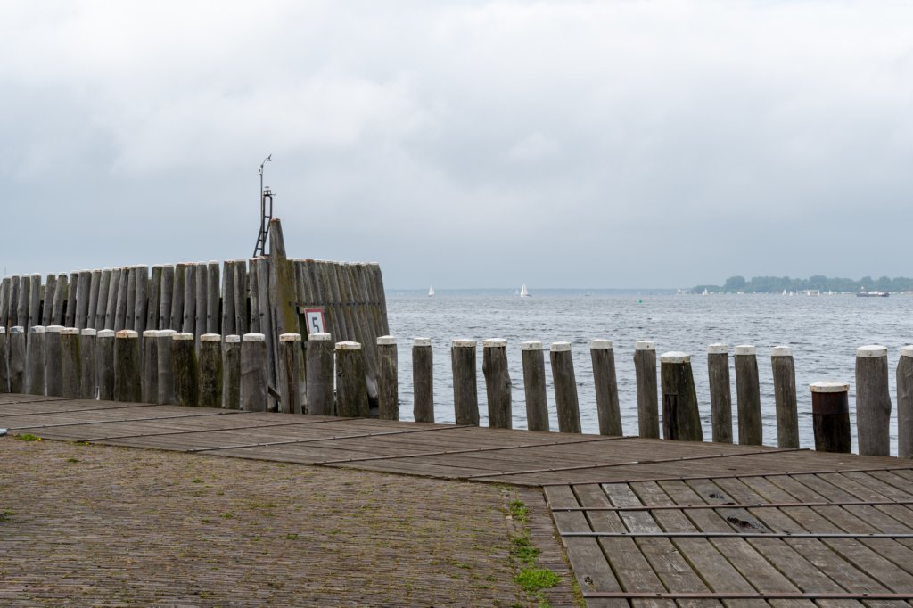 dsc_3601.jpg